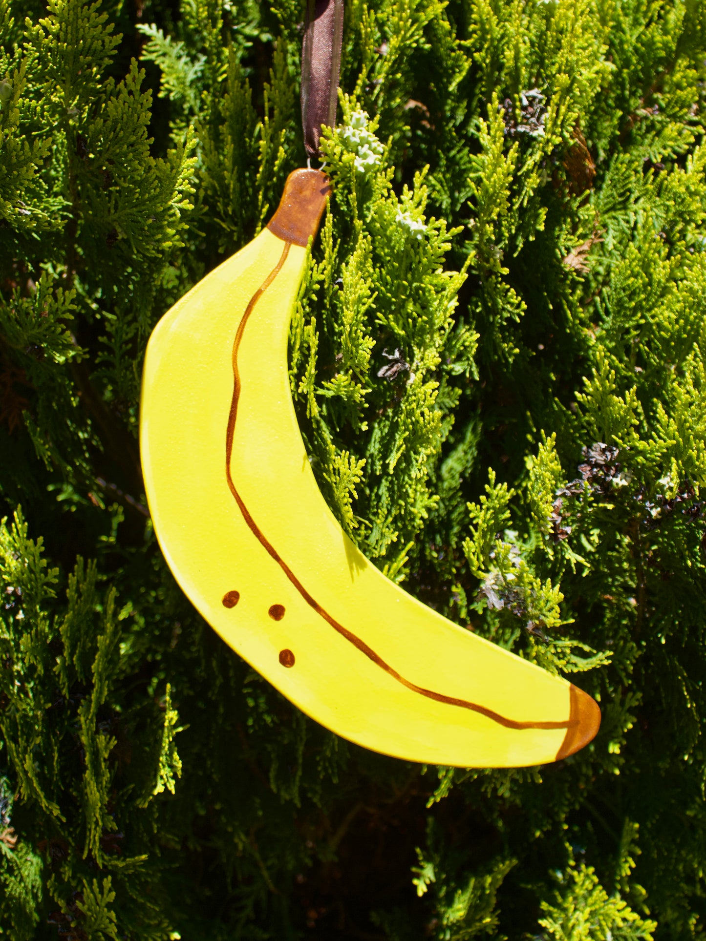 Banana Wall Hanging