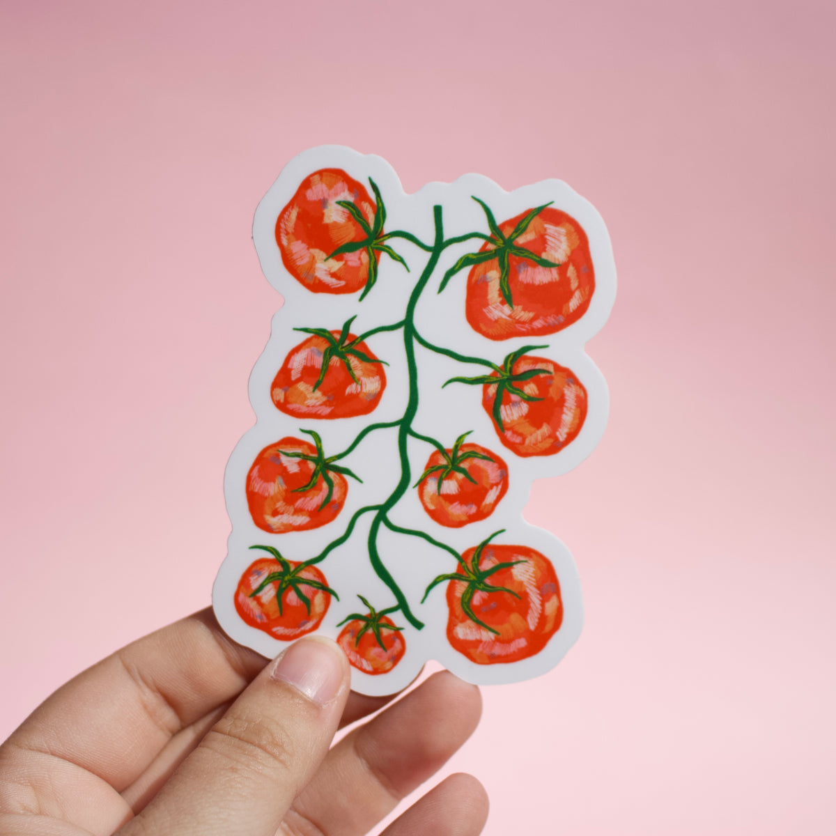 Tomato Source Sticker Design Tomato Sticker – Elisha Illustrates